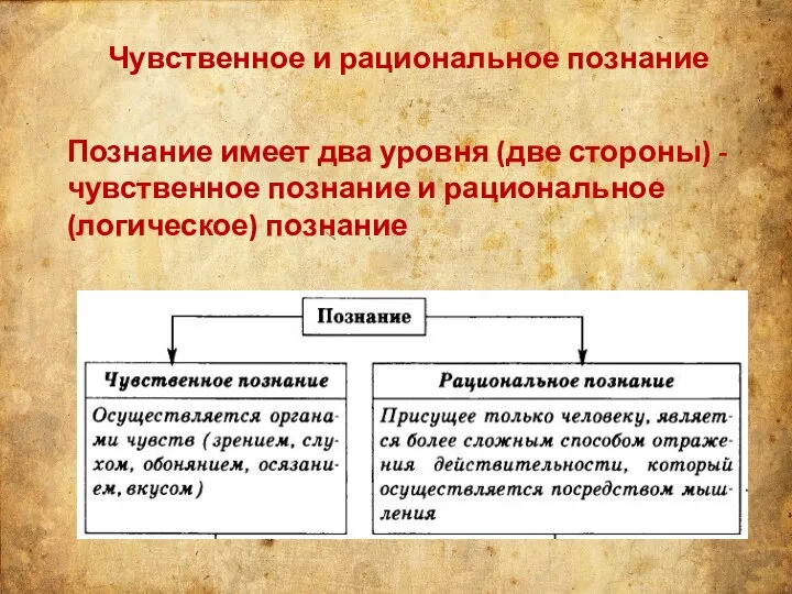 Чувственное и рациональное познание Познание имеет два уровня (две стороны) - чувственное