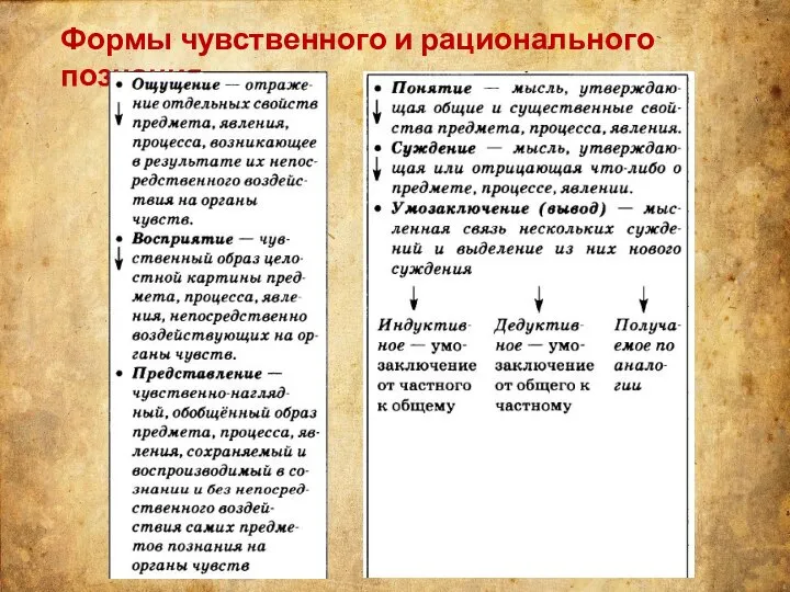 Формы чувственного и рационального познания