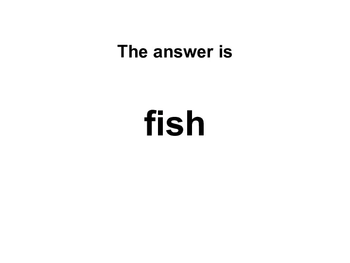 The answer is fish