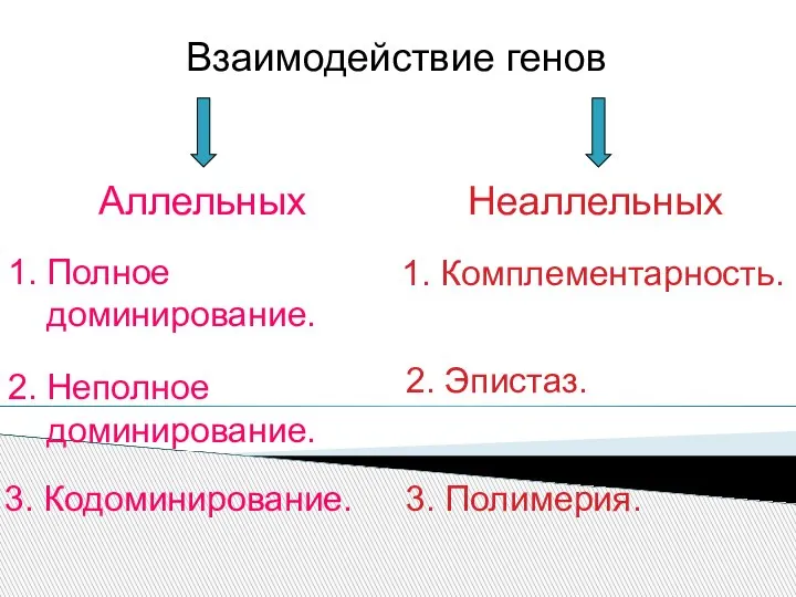 Взаимодействие генов