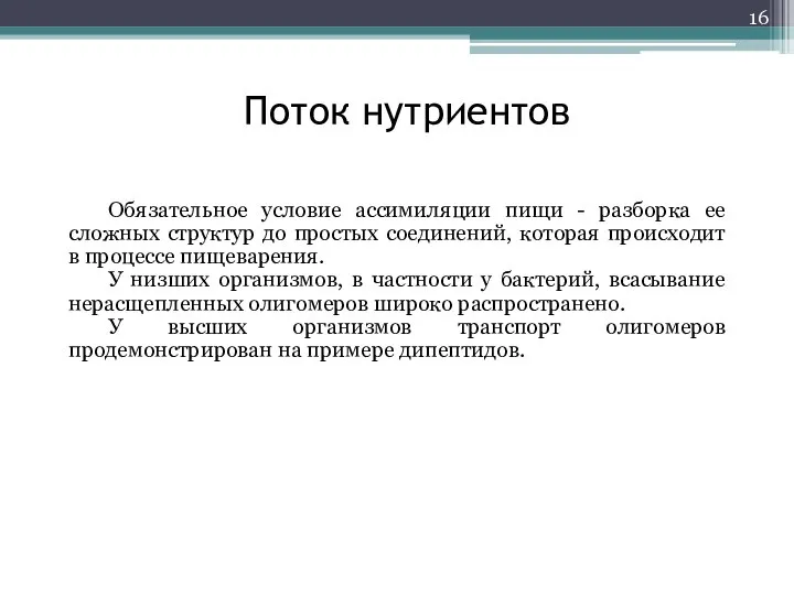 Поток нутриентов Обязательное условие ассимиляции пищи - разборка ее сложных структур до