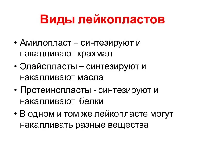 Виды лейкопластов Амилопласт – синтезируют и накапливают крахмал Элайопласты – синтезируют и