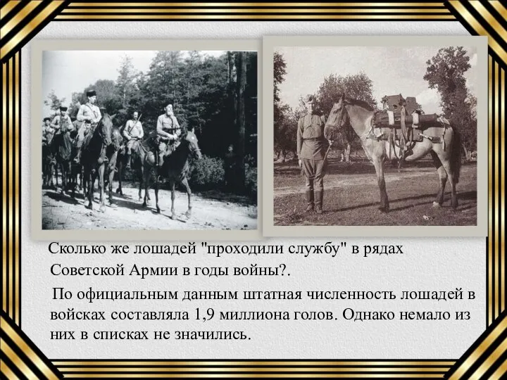 Сколько же лошадей "проходили службу" в рядах Советской Армии в годы войны?.