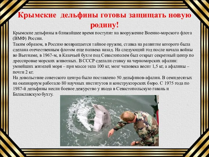 Крымские дельфины готовы защищать новую родину! Крымские дельфины в ближайшее время поступят