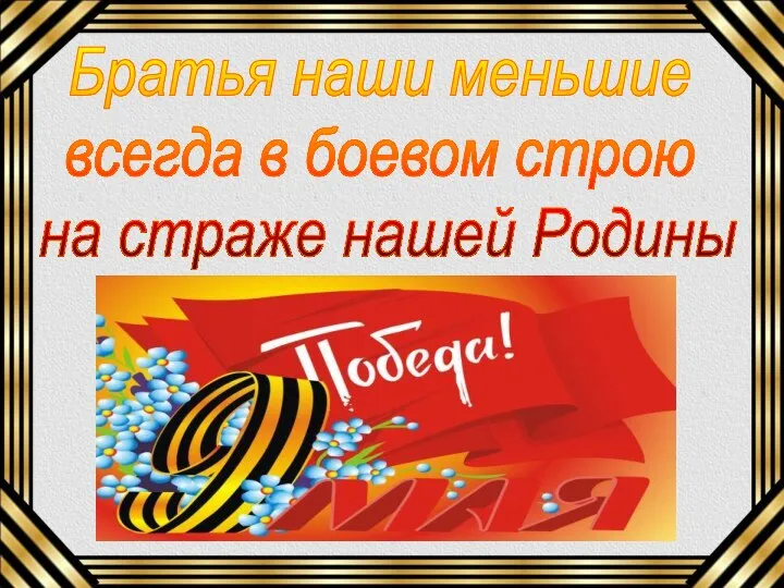 Братья наши меньшие всегда в боевом строю на страже нашей Родины