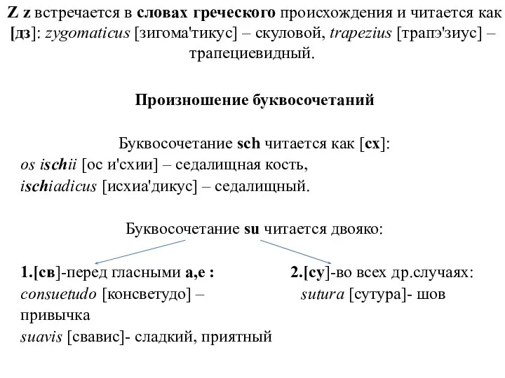 Z z встречается в словах греческого происхождения и читается как [дз]: zygomaticus