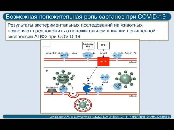 Возможная положительная роль сартанов при COVID-19 Jan Danser A.H., et al. Hypertension.