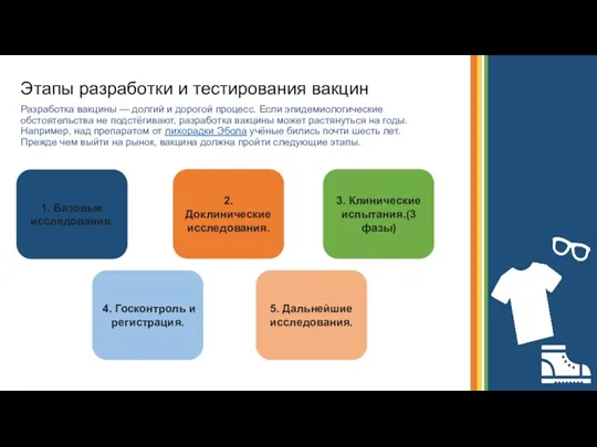 Этапы разработки и тестирования вакцин Разработка вакцины — долгий и дорогой процесс.