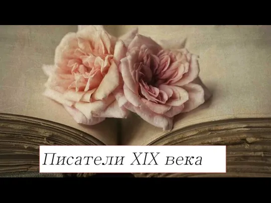 Писатели XIX века