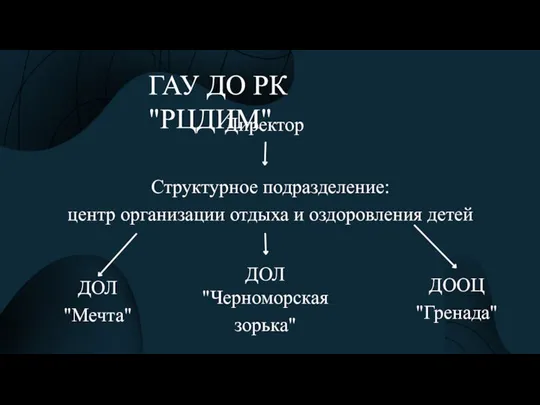 ГАУ ДО РК "РЦДИМ" Директор Структурное подразделение: центр организации отдыха и оздоровления