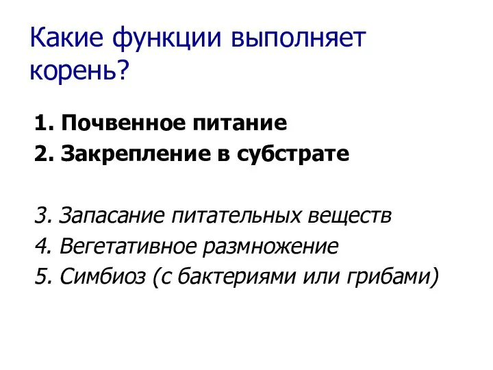 Какие функции выполняет корень? 1. Почвенное питание 2. Закрепление в субстрате 3.