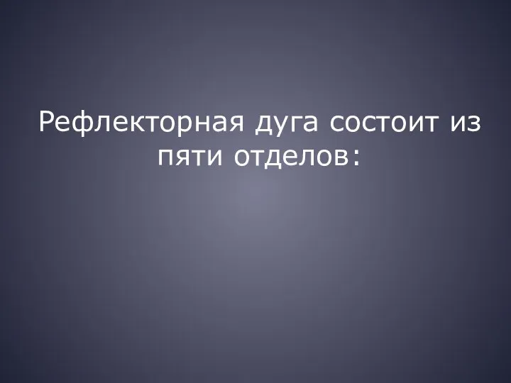 Рефлекторная дуга состоит из пяти отделов: