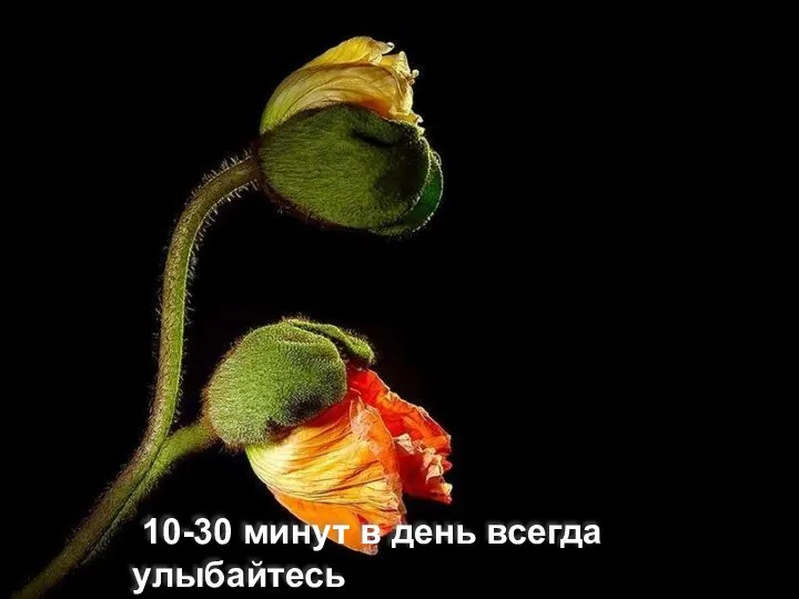 10-30 минут в день всегда улыбайтесь