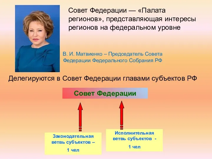 Делегируются в Совет Федерации главами субъектов РФ Совет Федерации Законодательная ветвь субъектов