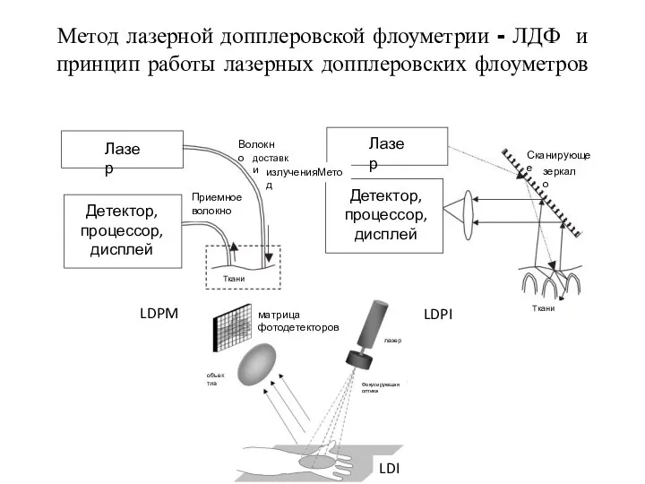 Метод лазерной допплеровской флоуметрии - ЛДФ и принцип работы лазерных допплеровских флоуметров