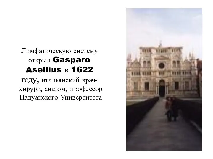 Лимфатическую систему открыл Gasparo Asellius в 1622 году, итальянский врач-хирург, анатом, профессор Падуанского Университета