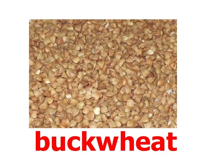 buckwheat