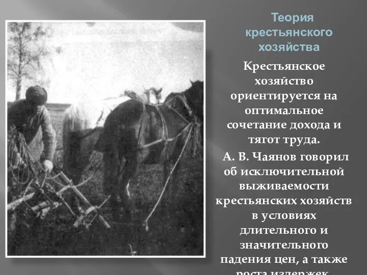 Теория крестьянского хозяйства Крестьянское хозяйство ориентируется на оптимальное сочетание дохода и тягот