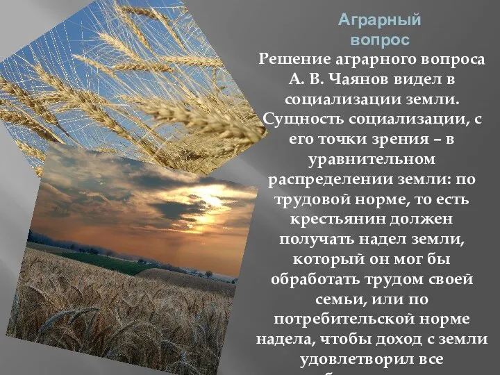 Аграрный вопрос Решение аграрного вопроса А. В. Чаянов видел в социализации земли.
