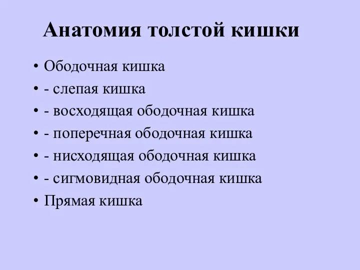 Анатомия толстой кишки Ободочная кишка - слепая кишка - восходящая ободочная кишка