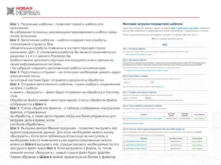 Шаг 1: Получение шаблона – позволяет скачать шаблон для заполнения. Во избежание