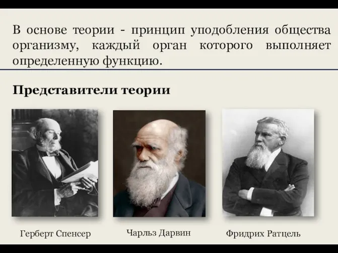 В основе теории - принцип уподобления общества организму, каждый орган которого выполняет