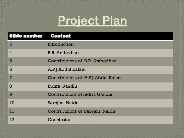 Project Plan