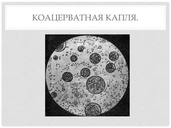 КОАЦЕРВАТНАЯ КАПЛЯ.