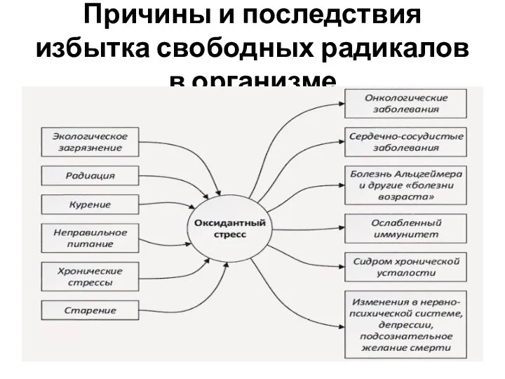 Причины и последствия избытка свободных радикалов в организме