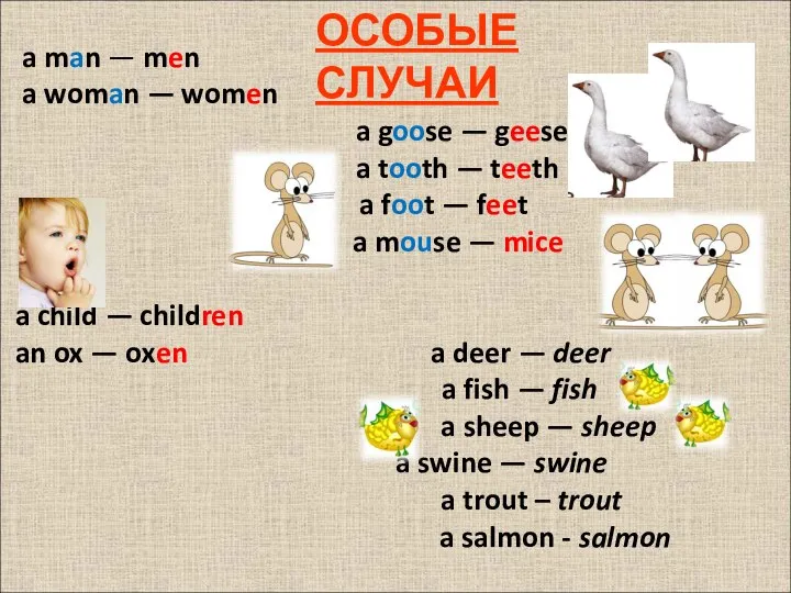 a man — men a woman — women a goose — geese