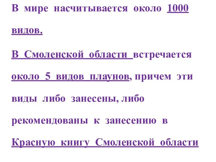 В мире насчитывается около 1000 видов. В Смоленской области встречается около 5