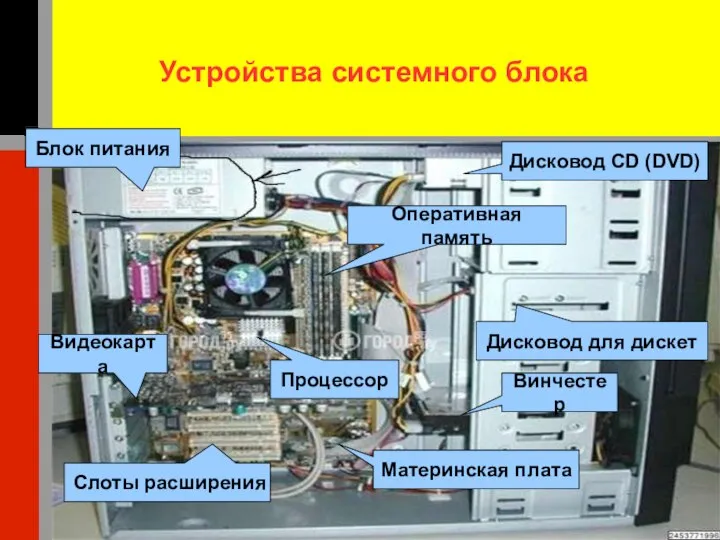 Устройства системного блока Блок питания Видеокарта Слоты расширения Оперативная память Процессор Винчестер