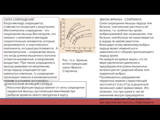 СИЛА СОКРАЩЕНИЙ Когда миокард сокращается, отмечается тенденция к укорочению. Изотоническое сокращение -