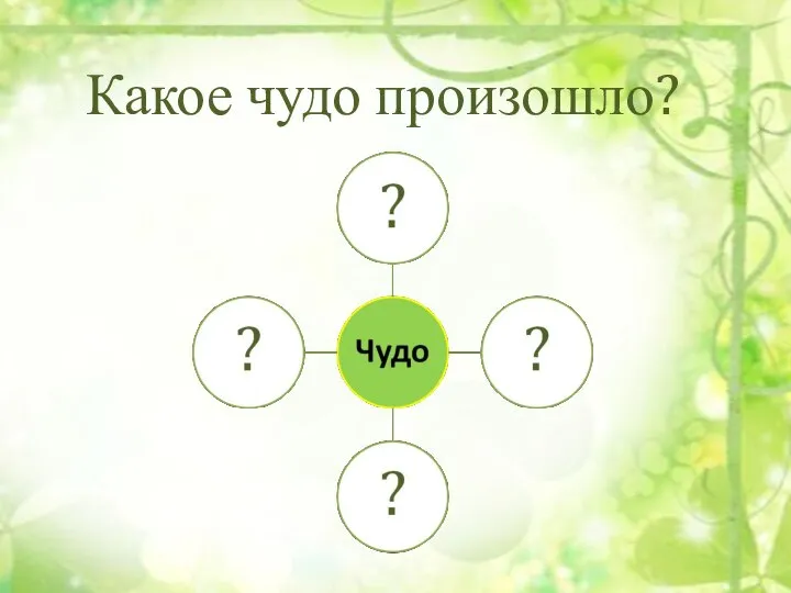 Какое чудо произошло?