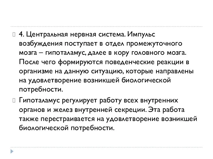 4. Центральная нервная система. Импульс возбуждения поступает в отдел промежуточного мозга –