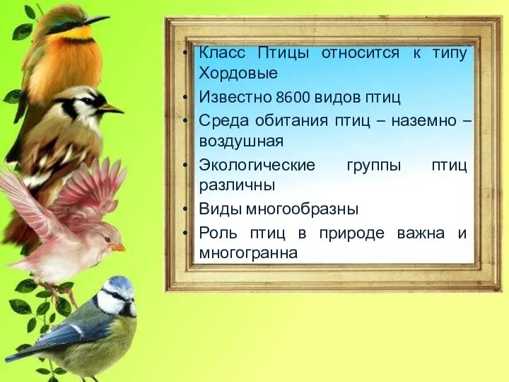 Класс Птицы относится к типу Хордовые Известно 8600 видов птиц Среда обитания