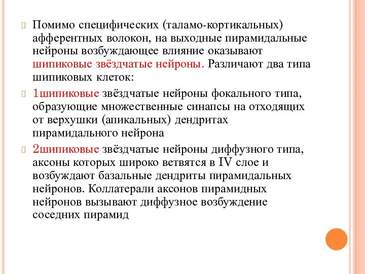 Помимо специфических (таламо-кортикальных) афферентных волокон, на выходные пирамидальные нейроны возбуждающее влияние оказывают