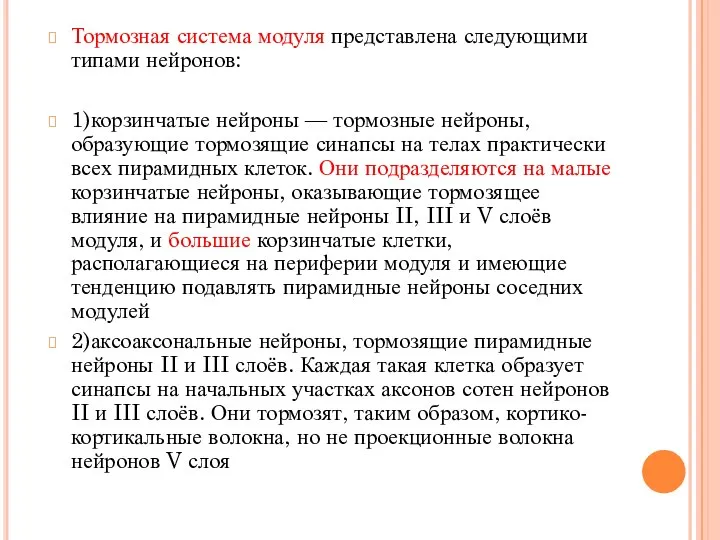 Тормозная система модуля представлена следующими типами нейронов: 1)корзинчатые нейроны — тормозные нейроны,