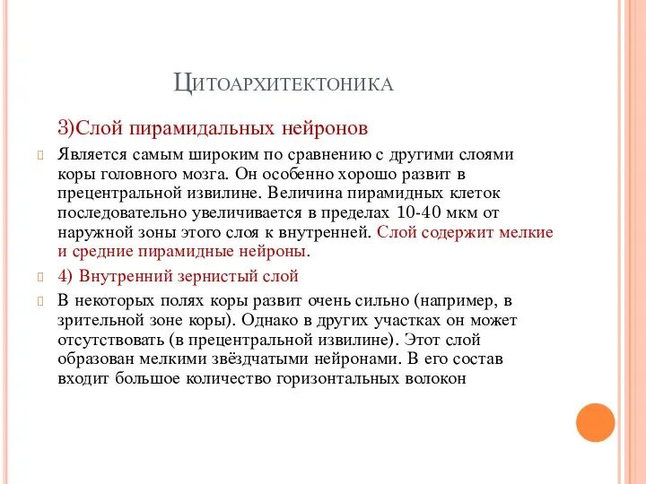 Цитоархитектоника 3)Слой пирамидальных нейронов Является самым широким по сравнению с другими слоями