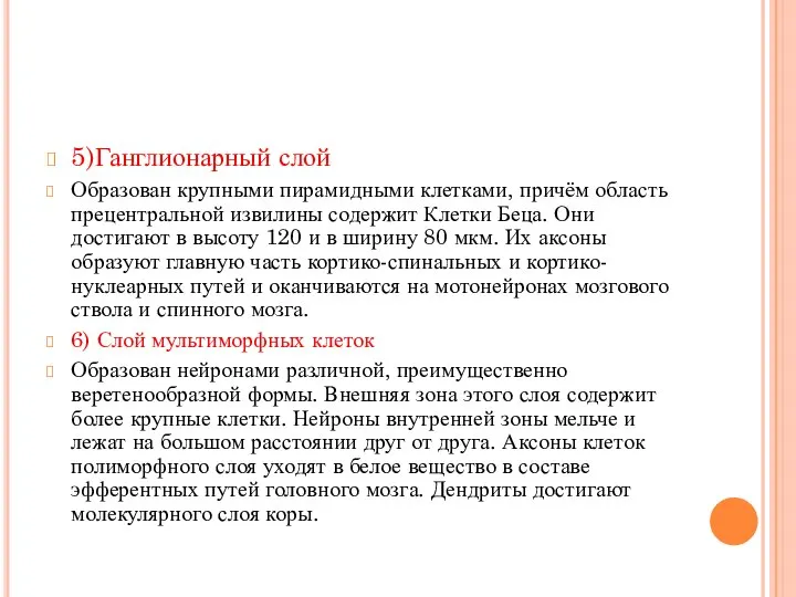 5)Ганглионарный слой Образован крупными пирамидными клетками, причём область прецентральной извилины содержит Клетки