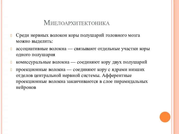 Миелоархитектоника Среди нервных волокон коры полушарий головного мозга можно выделить: ассоциативные волокна