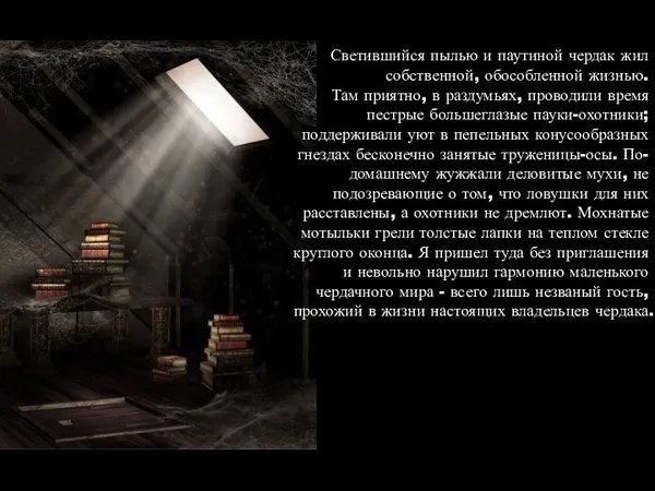 Светившийся пылью и паутиной чердак жил собственной, обособленной жизнью. Там приятно, в