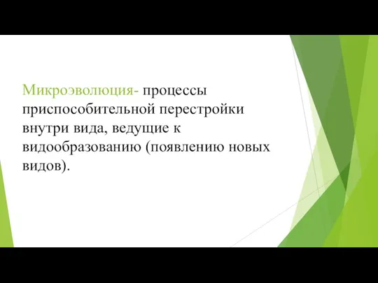 Микроэволюция- процессы приспособительной перестройки внутри вида, ведущие к видообразованию (появлению новых видов).