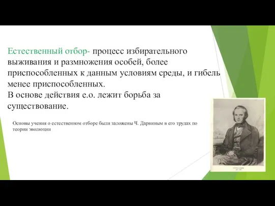 Естественный отбор- процесс избирательного выживания и размножения особей, более приспособленных к данным