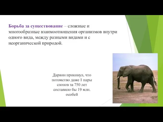 Дарвин прикинул, что потомство даже 1 пары слонов за 750 лет составило