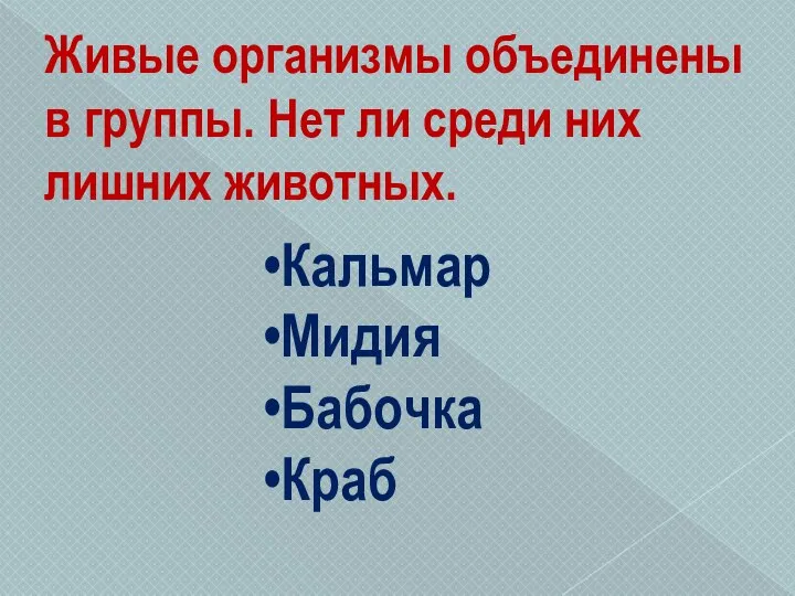 Кальмар Мидия Бабочка Краб Живые организмы объединены в группы. Нет ли среди них лишних животных.