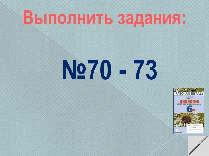 Выполнить задания: №70 - 73