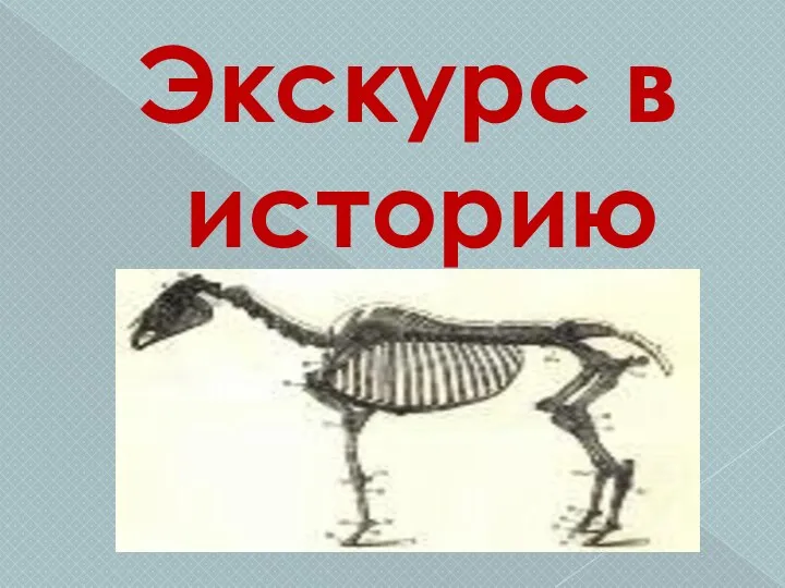 Экскурс в историю