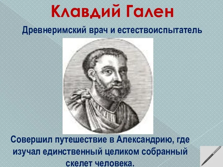 Клавдий Гален Совершил путешествие в Александрию, где изучал единственный целиком собранный скелет