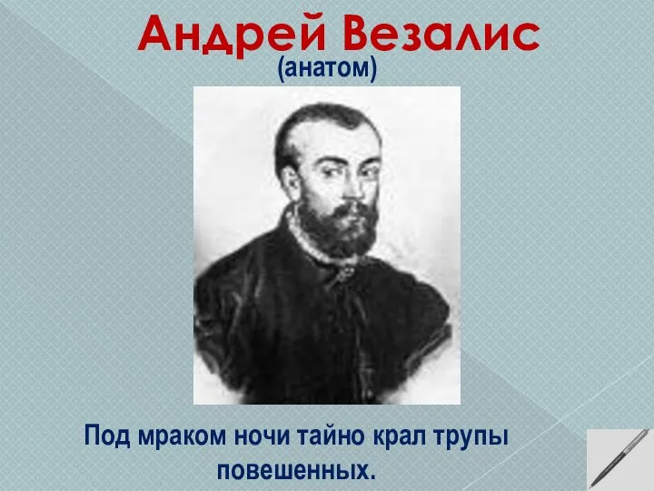 Под мраком ночи тайно крал трупы повешенных. Андрей Везалис (анатом)